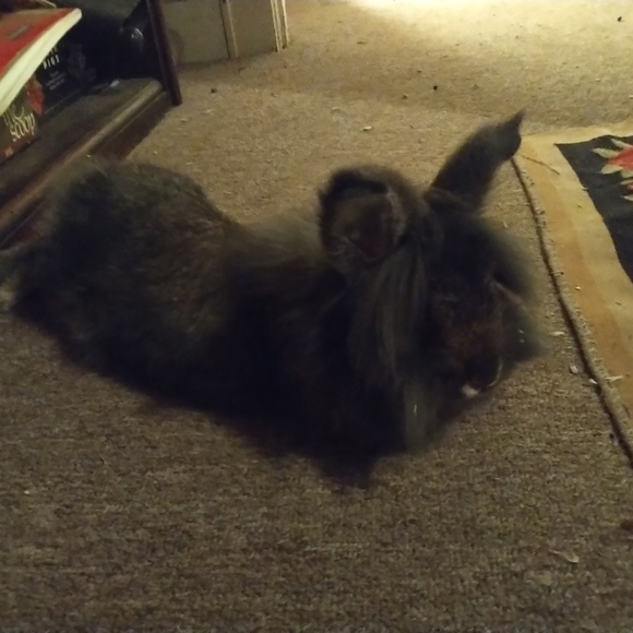 🌊meet yr seller!🌊 - Picture 3 of 7